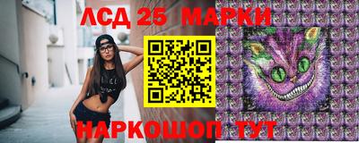 гашик Малгобек