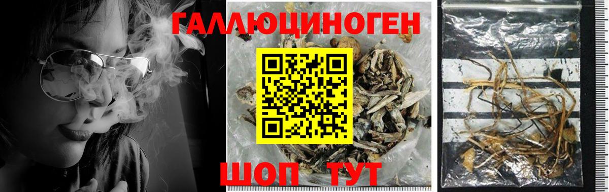 Псилоцибиновые грибы мицелий  Вход с VPN  Керчь 